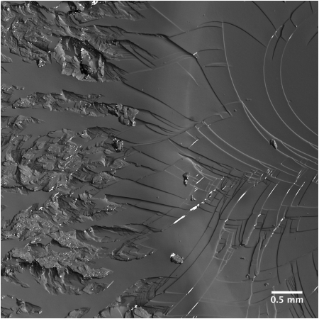 Post-fracture surface microscopy (4 of 10)