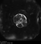 Hydraulic fracture interface experiment (2 of 6)