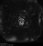 Hydraulic fracture interface experiment (1 of 6)