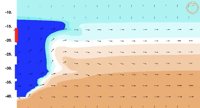 MAR infiltration time-lapse, step 2